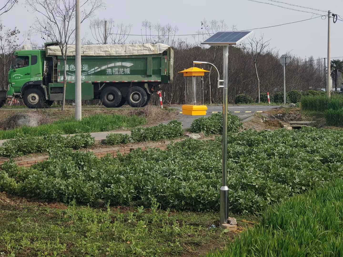 Solar insecticidal light in vegetable field