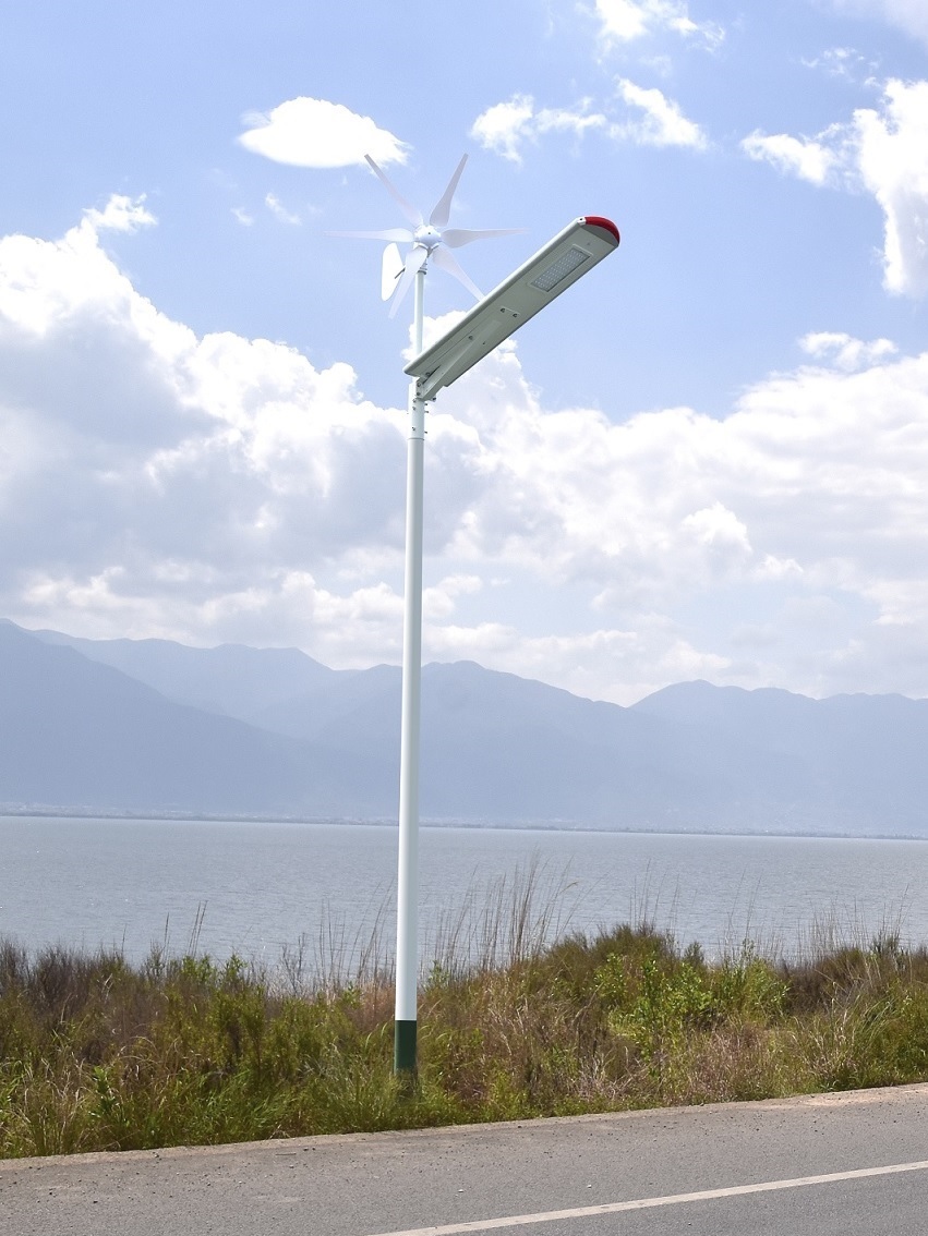 60W Hybrid wind solar street light around lake