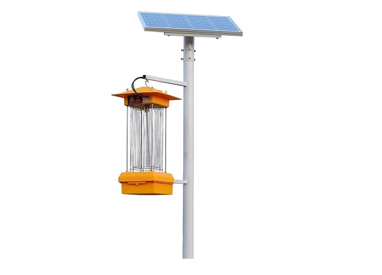 How to Maintain Solar Insecticidal Light